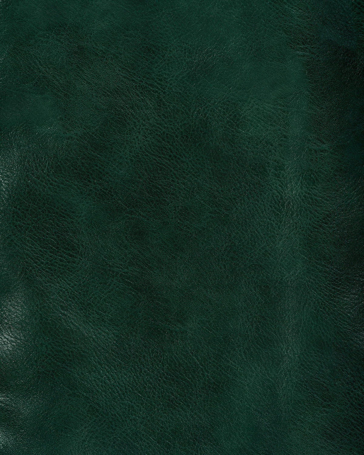 EVERGREEN ROCKSTAR PANTS